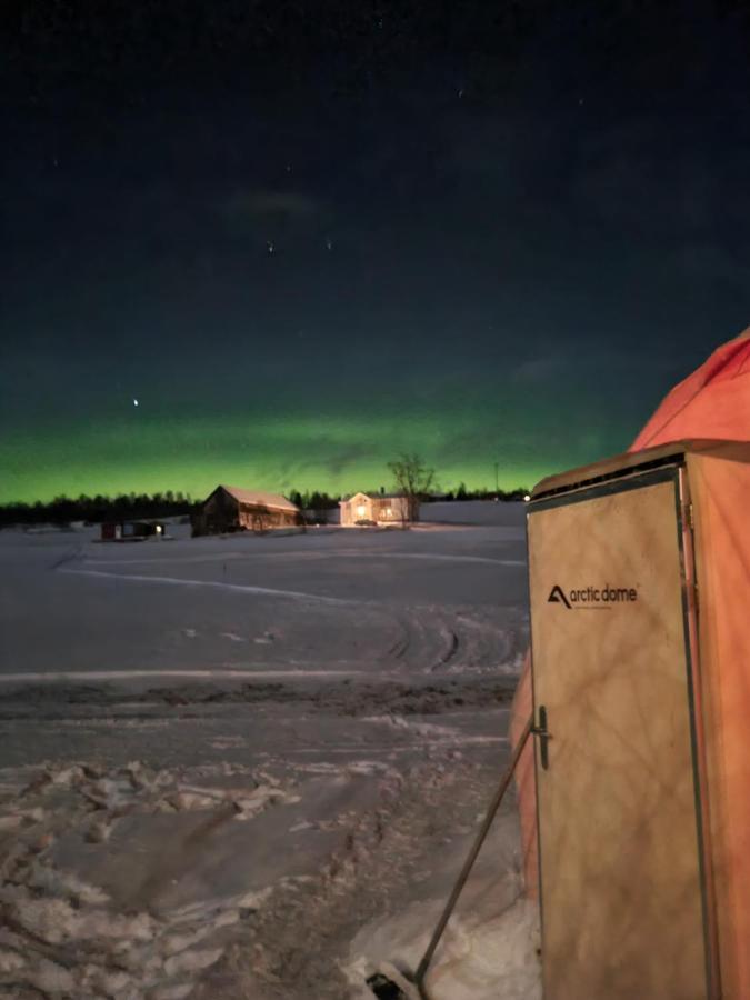 Roros Arctic Dome Glamos